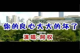 一首《你的良心大大的坏了》好听至极
