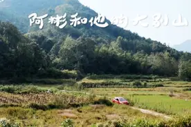 他养的1500只母鸡一天只能产30只鸡蛋视频封面