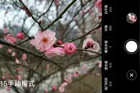 魅族15拍照体验：极差的自动对焦体验，附手动对焦方法和样张视频封面