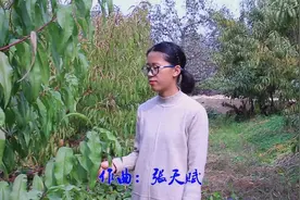 一首《社会顺口溜》句句入骨，好听，就是太现实了！视频封面