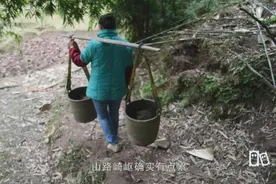 追踪两桶牛屎的去向，竟然拿来做这个，难以让人相信