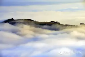 景迈山的云海图片