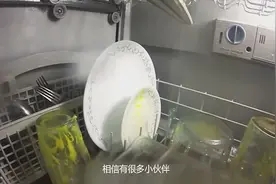 洗碗机是怎么把碗洗干净的摄像头记录下全过程，网友很难看到-视频封面