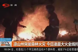 凉山州突发森林火灾，今日凌晨大火全线扑灭视频封面