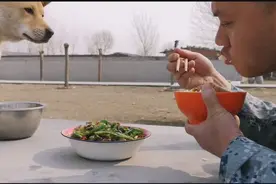 【中华田园犬】我们今天就享受一下跟大黄一起吃饭的乐趣！视频封面