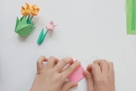 带花盆的郁金香，送人超棒，但少有人会折视频封面