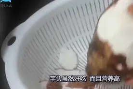 芋头好吃，营养高，但有三类人最好少吃，能戒掉就更好视频封面