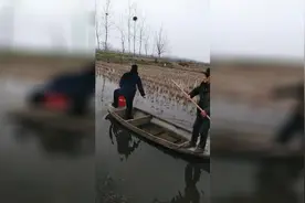 小龙虾养殖，每亩毛利润能够在6000以上的都是小龙虾养殖高手视频封面