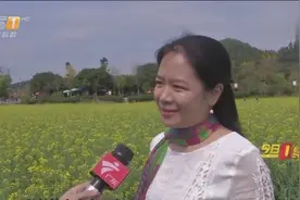 岭南春色：广州花都红山村，航拍百亩油菜花盛开，花香醉人