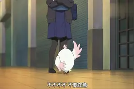 鹦鹉拔出羽毛向女孩表白，被拒绝后默默把毛插回去视频封面