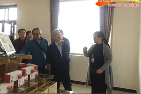 邯郸：邱县第二届“文冠果花节”盛大开幕图片