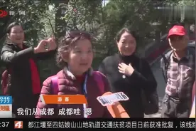赏花好去处！阳春三月，来双流看海棠花开视频封面