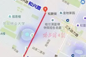 「交通」哈尔滨将打通南岗、香坊市区几条断头路、建设哈西大街跨线桥丨，薰衣草庄园、五洲动漫城等新休闲娱乐项目周边的交通也将极大改善图片