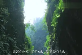 峨眉山：峨眉山内的人们靠什么生存？国内最大自然野生猴区在这里视频封面