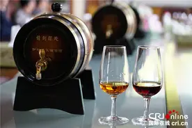 走进“中国冰葡萄酒之乡”(组图)图片