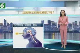 阴雨连绵心情不好？其实这是你的情绪在发霉！