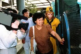 西游记导演杨洁偏爱《女儿情》 亲自填词图片