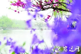 春风十里扬州路 最美烟花三月天图片