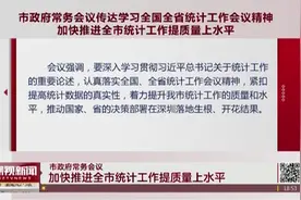 深圳市加快推进全市统计工作提质量上水平视频封面