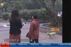 不栓狗绳把老太“吓”残，伤者索赔20万