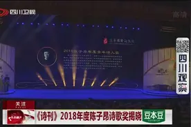 《诗刊》2018年度陈子昂诗歌奖揭晓视频封面