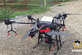 用无人机给芒果果园喷农药，一次载32斤农药，大家觉得能飞起来吗视频封面