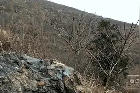 上水石石脉，山上一大片都是这种石头！视频封面