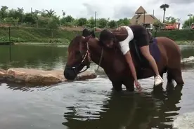 性感美女骑马外出互动, 下一秒太舒服了, 马背上十分享受好玩