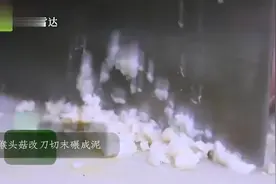 舌尖上的素食：烹饪大师教你自制素小排，好吃到“爆”视频封面