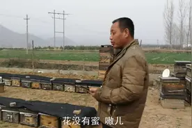 养蜂110箱每年收入怎么样？农民大叔说要看年景，干啥也不容易！