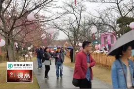 无锡公交开通多条专线 方便市民赏花扫墓视频封面