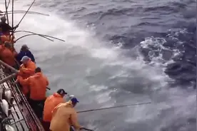 涨知识了，大海捕鱼的正确打开方式