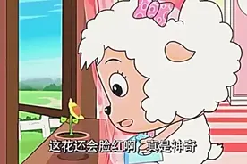 美羊羊将“沸羊羊”细心照料后送回森林,无奈偶遇灰太狼！视频封面