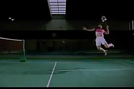 傅海峰教你如何杀球图片