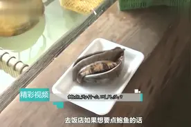 为什么鲍鱼要说是几头呢？看完长见识了视频封面