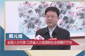 两会同期声 戴元湖：促就业 强保障 帮扶贫困人口视频封面