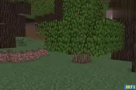 MC动画《僵尸生活2》，僵尸为了救自己心爱猫咪，开始了复仇之路