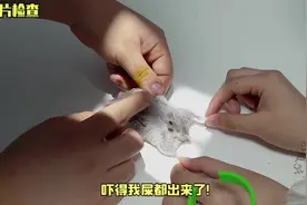 仓鼠“自述”肿瘤切除手术的经历，手术后该吃吃该喝喝