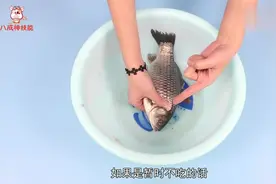 还在为买的鱼死的快而烦恼吗？教你一个方法，让你的鱼活蹦乱跳视频封面