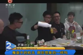 魔壶里究竟有什么机关道具呢？破解魔术也不代表你比刘谦更高明！视频封面