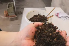 用梅干菜做成包子馅，又香又好吃，包子哥告诉你完整的做法视频封面