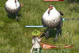 《最终幻想14》成为皮革师之路 上图片