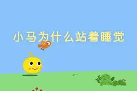 原创科普动画《小马为什么站着睡觉》。#每日亲子陪伴 #动画