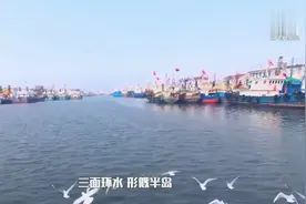 江苏最应该和上海合并的一个城市，一旦合并将助长三角的经济腾飞视频封面