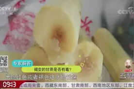 北方好多甘蔗都呈现褐色，这样的甘蔗是否有毒？让专家来告诉你视频封面