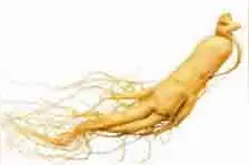 这一补药不能与葡萄、石榴同时吃