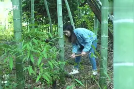 农村梅梅：隐居第20天，带年幼的女儿在山里吃自己种的果子视频封面