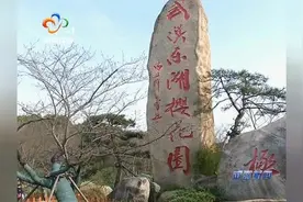 武汉东湖樱花节开幕了 东湖樱园闭园时间延至晚十点视频封面