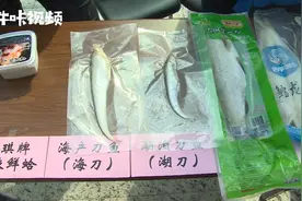 刀鱼、鳕鱼、三文鱼，专家教您如何辨别真假高档水产品视频封面