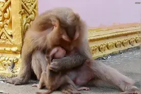 真是乖巧的孩子，看到妈妈哭了，赶紧抚摸妈妈的脸安慰妈妈视频封面